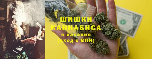 прущие грибы Арсеньев