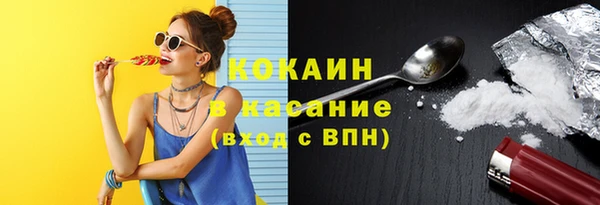 прущие грибы Арсеньев