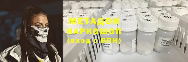 прущие грибы Арсеньев