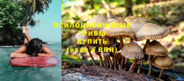 молекула духа Армянск