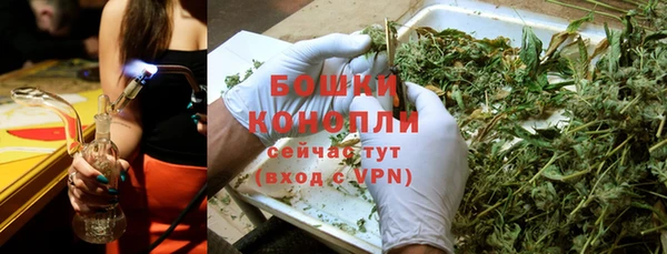 молекула духа Армянск