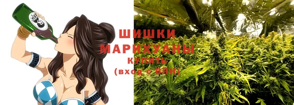молекула духа Армянск
