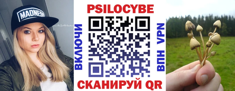Галлюциногенные грибы Cubensis  Купить закладки  Осташков 
